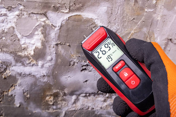 Best HVAC Mold Remediation in Shorewood Hills, WI