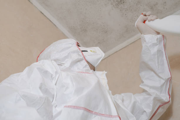 Best Commercial Mold Remediation in Shorewood Hills, WI